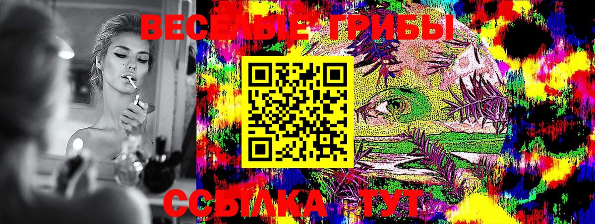 Галлюциногенные грибы Psilocybe  Галлюциногенные грибы мицелий  Пермь  Вход с VPN 